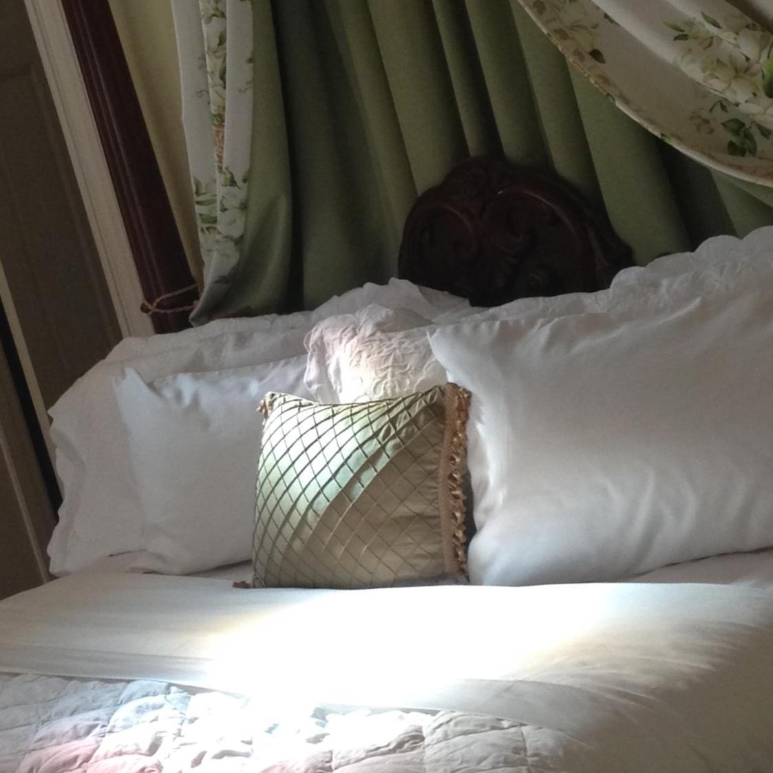 Burke Mansion Bed & Breakfast Macon Dış mekan fotoğraf